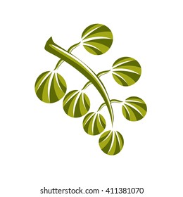 Spring leaf simple vector icon, nature and gardening theme illustration. Stylized tree leaf, botany and vegetarian design element.