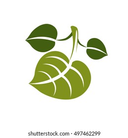 Spring leaf simple vector icon, nature and gardening theme illustration. Stylized tree leaf, botany and vegetarian design element.