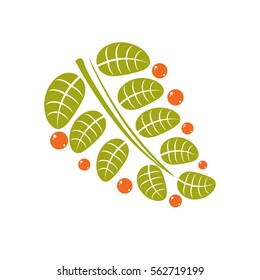 Spring leaf simple vector icon, nature and gardening theme illustration. Stylized tree leaf with orange seeds, botany and vegetarian design element.