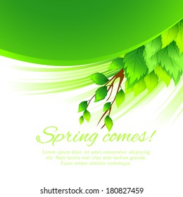 Spring leaf vector background