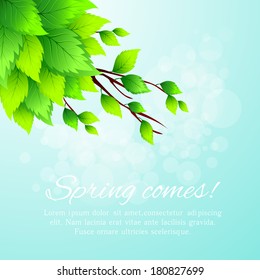 Spring leaf vector background