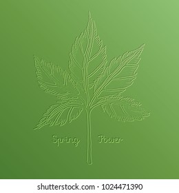 Spring leaf vector illustration