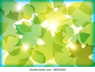 spring leafs
