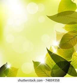 Spring leafs abstract background with place for your text