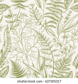 Spring Leafy Green Seamless Pattern. Vintage Floral Background. Vector. Leaves And Herbs. Botanical Illustration.