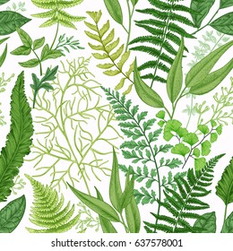 Spring leafy green seamless pattern. Vintage floral background with different ferns.  Botanical illustration. Green.