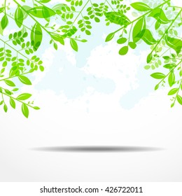 Spring Leaves Background