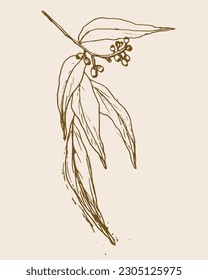 Spring with leaves and berries