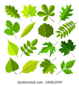 spring leaves flat style set. vector illustration