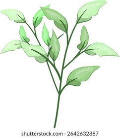Spring Leaves, Fresh and beautiful