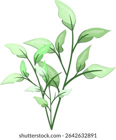 Hojas de primavera, frescas y hermosas