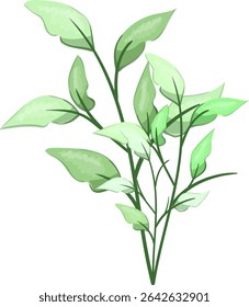 Hojas de primavera, frescas y hermosas