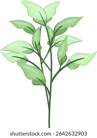 Spring Leaves, Fresh and beautiful