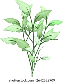 Spring Leaves, Fresh and beautiful