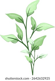 Hojas de primavera, frescas y hermosas