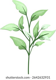 Spring Leaves, Fresh and beautiful