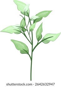 Spring Leaves, Fresh and beautiful
