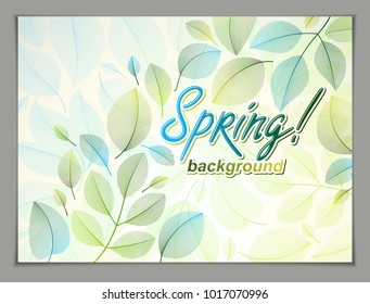 Spring leaves horizontal background, nature seasonal template for design banner, ticket, leaflet, card, poster with green and fresh floral elements. Sale, advertising poster, brochure or flyer design.