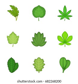 Spring leaves icons set. Cartoon set of 9 spring leaves vector icons for web isolated on white background