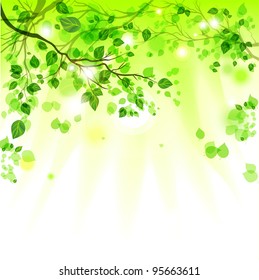 Spring leaves light background