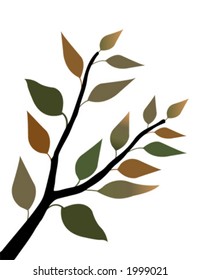 Spring leaves on a stem