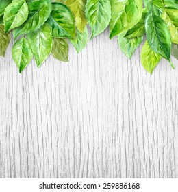 Spring leaves on wood background. Watercolor vector illustration.