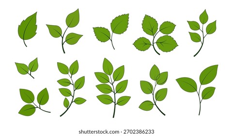 Spring Leaves Set – Fresh Botanical Flat Vector Elements