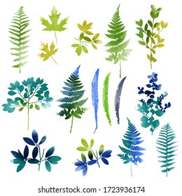 Spring leaves watercolor vector set. 