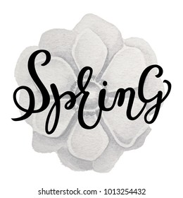 Spring lettering with anemone background. Vector illustration