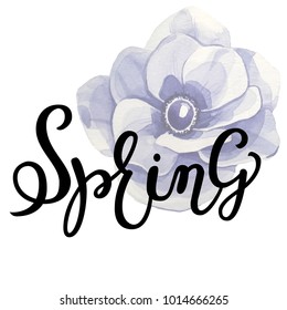 Spring lettering with anemone background. Vector illustration