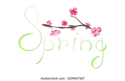 Spring lettering with cherry blooming branch. Isolated on white vector illustration copyspace flower pink cherry peach pear sakura apple trees. Blooming Cherry Blossom spingtime summertime sakura