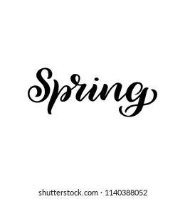 Spring lettering design logo. Decorative typography element. Season label. Young culture fashion art for t-shirt emblem. Vector