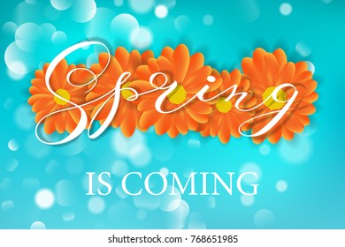 Spring lettering design logo. Decorative typography element with flowers on green background with bokeh. Season colors label. Spring is coming