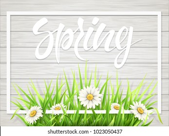 Spring lettering with grass and chamomile in frame on wooden background.