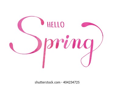 Spring lettering. Hand drawn text with ornamental elements for lettering poster, invitation or postcard. "Hello Spring" lettering in pink watercolor against white background. Layered , editable design