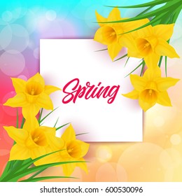 Spring Lettering on Square and Jonquils