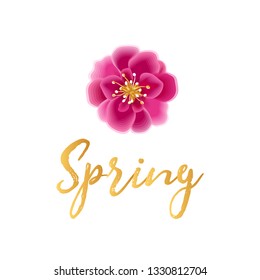 Spring lettering, Pink blossom. Cherry blossom, spring flower typography.