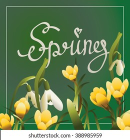 Spring lettering postcard or square banner