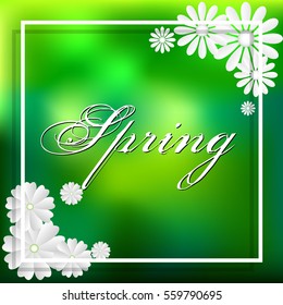 Spring lettering with white frame and flowers on realistic green background. Vector illustration.
