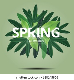 Spring lettet green Seasaon Background Green, Sale Banner voucher, vector illustration