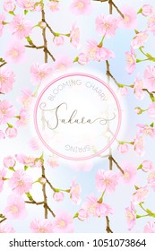 Spring light blue sky background with blossom brunch of pink sakura flowers. Template with place for text. Stock vector illustration. Good for gift voucher, card, banner.