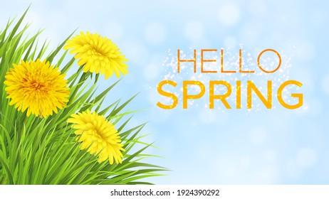 Spring light blue sky background with grass and dandelions. Template for invitation card, banner, poster with flowers and inscription Hello Spring. Vector illustration