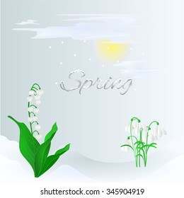 Spring lily of the valley and snowdrops  in the snow vector illustration