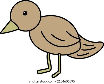 Spring little sparrow bird. Baby vector illustration