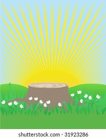 Spring - lonely stump among snowdrops and grass