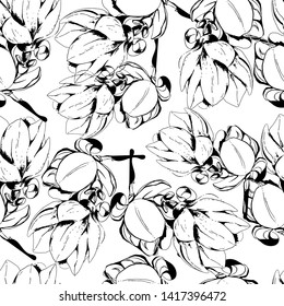 Spring magnolia flowers, seamless pattern with flowers, stylization. Hand draws in ink. Retro botanical illustration, vintage. Plants for the title, image for the blog, design. Wallpaper design, texti