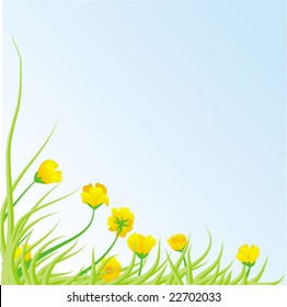spring meadow