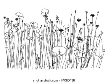 Spring meadow.