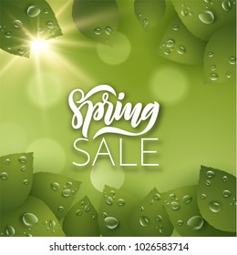 Spring meadow background with green leaves, flowers and shining sun. Vector EPS10.