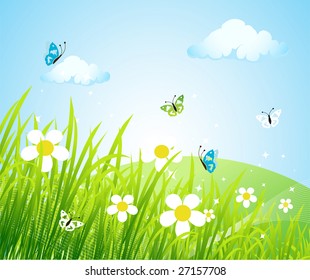 Spring meadow beautiful
